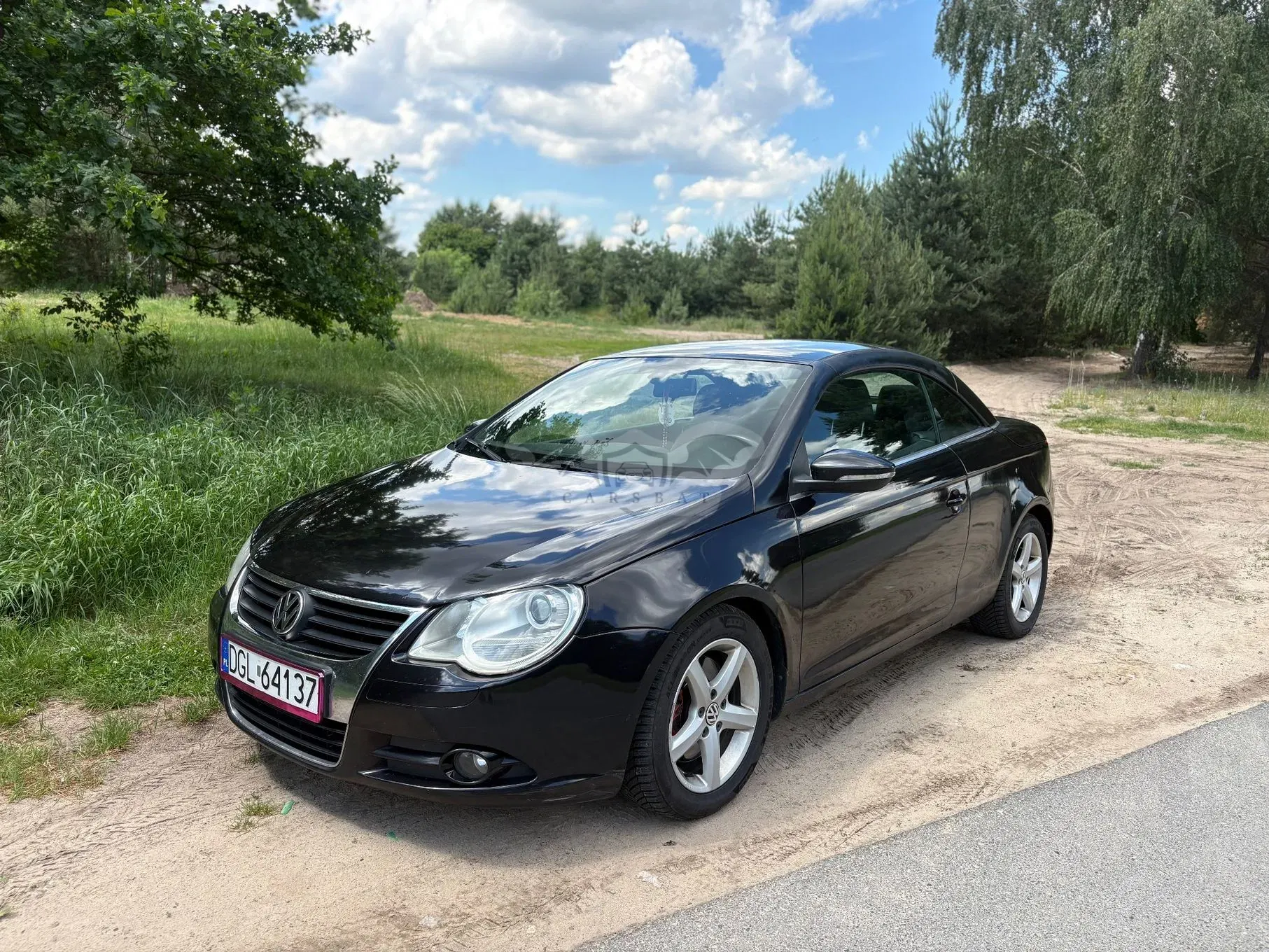 Volkswagen Eos 2010