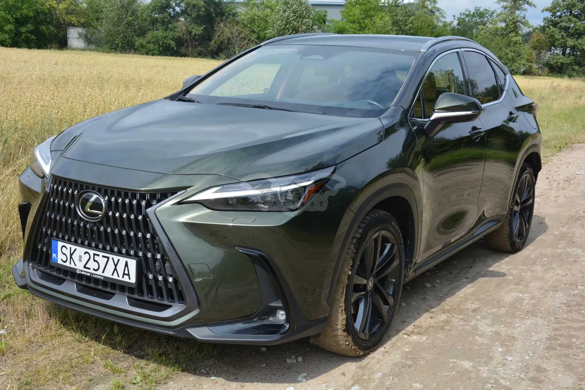 Lexus NX II (2021-) 2022