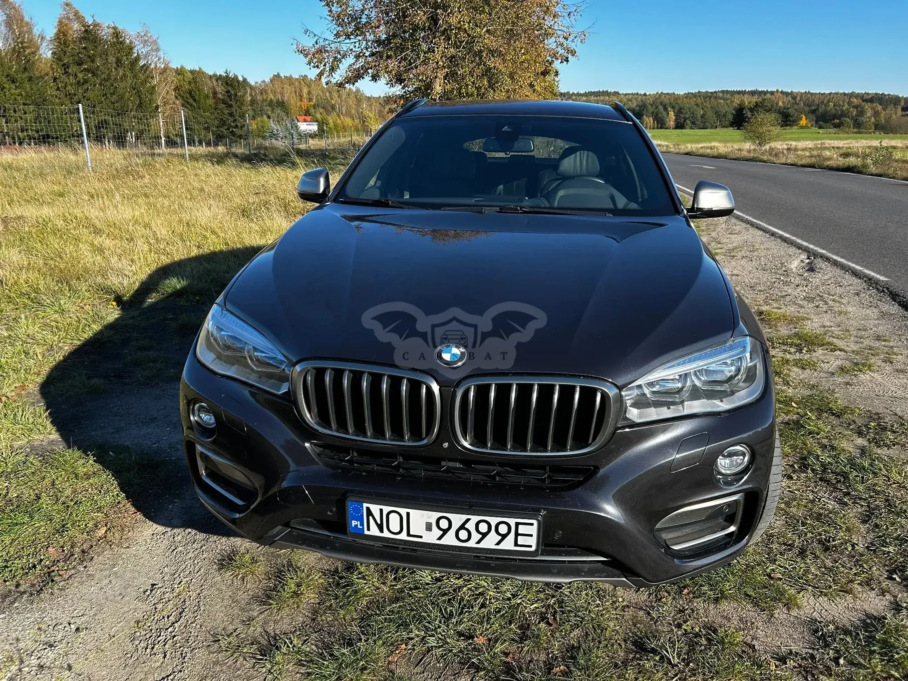BMW X6 F16 (2014-) xDrive40d 2016