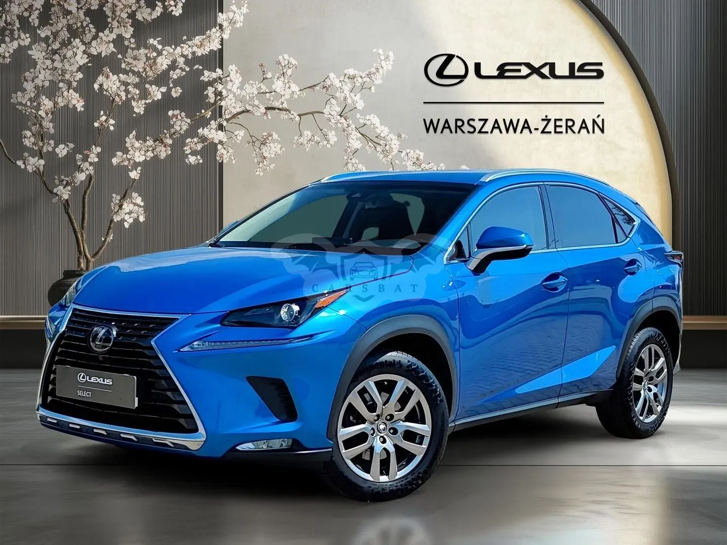 Lexus NX I (2014-2021) 300 Optimum AWD 2019