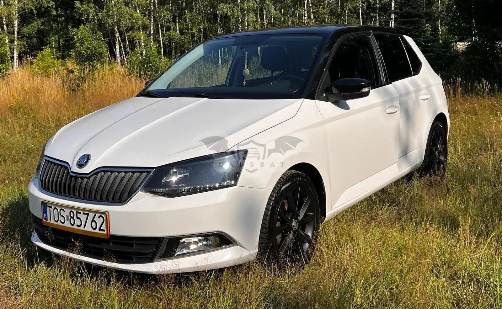 Skoda Fabia III (2014-2021) 1.0 Monte Carlo 2018