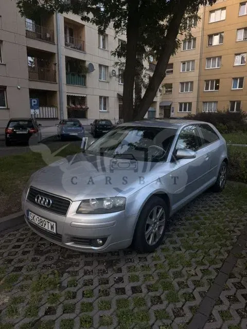 Audi A3 8P (2003-2012) 2004