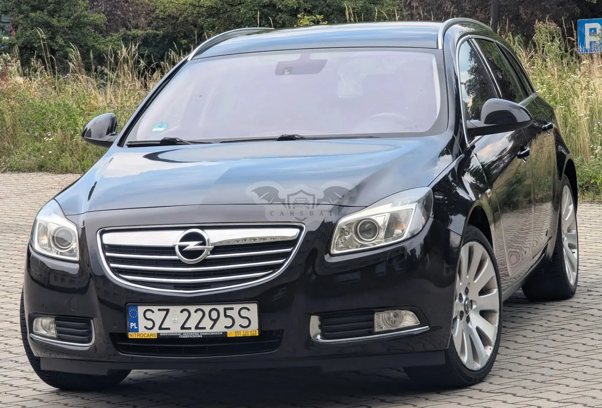 Opel Insignia A (2008-2017) 2.0 Turbo Cosmo 2009