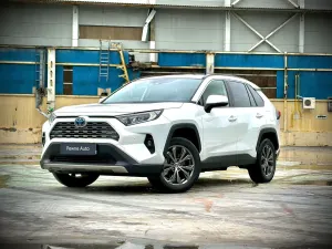 Toyota Rav4 V (2018-) 2024