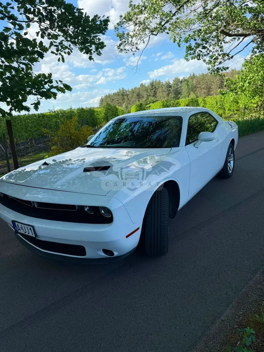 Dodge Challenger Automatik SXT Plus 2015