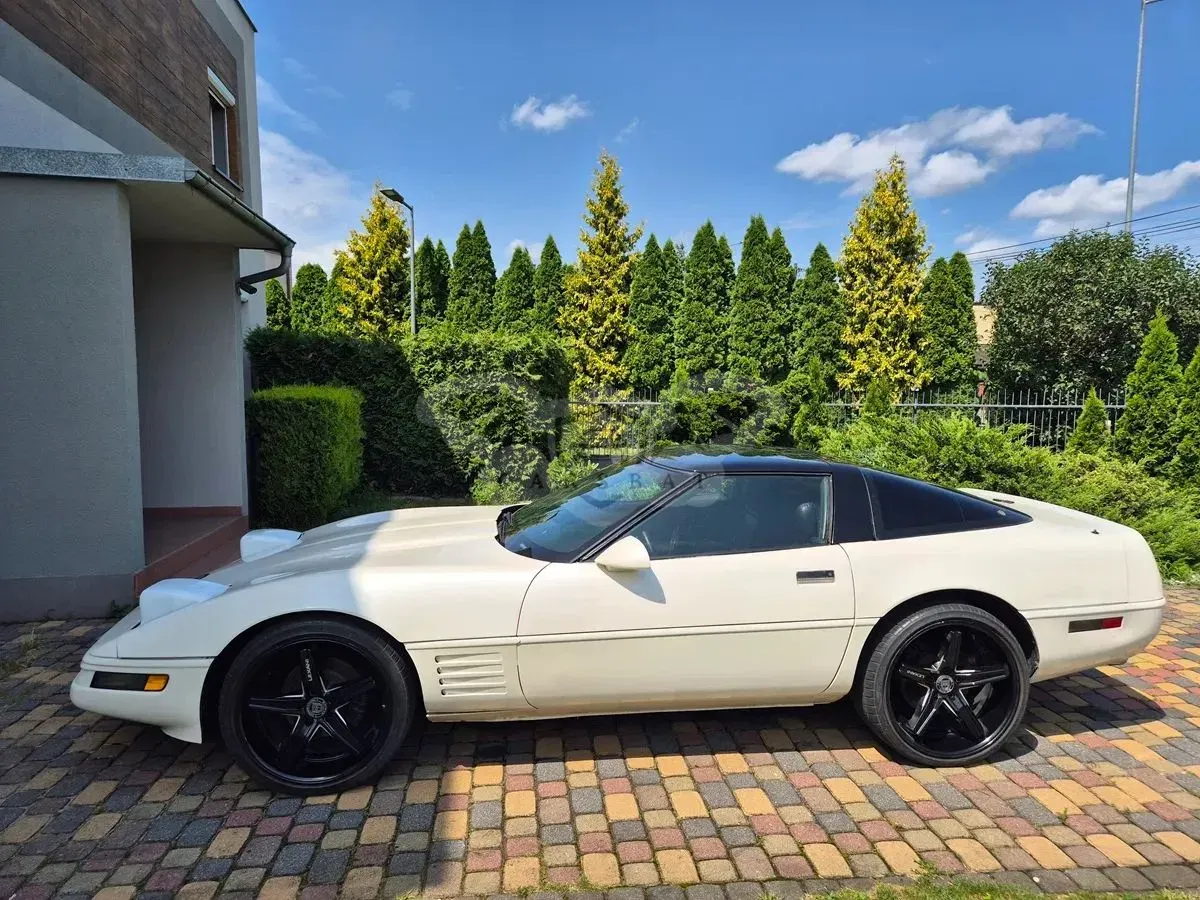 Chevrolet Corvette C4 (1983-1996) 1991