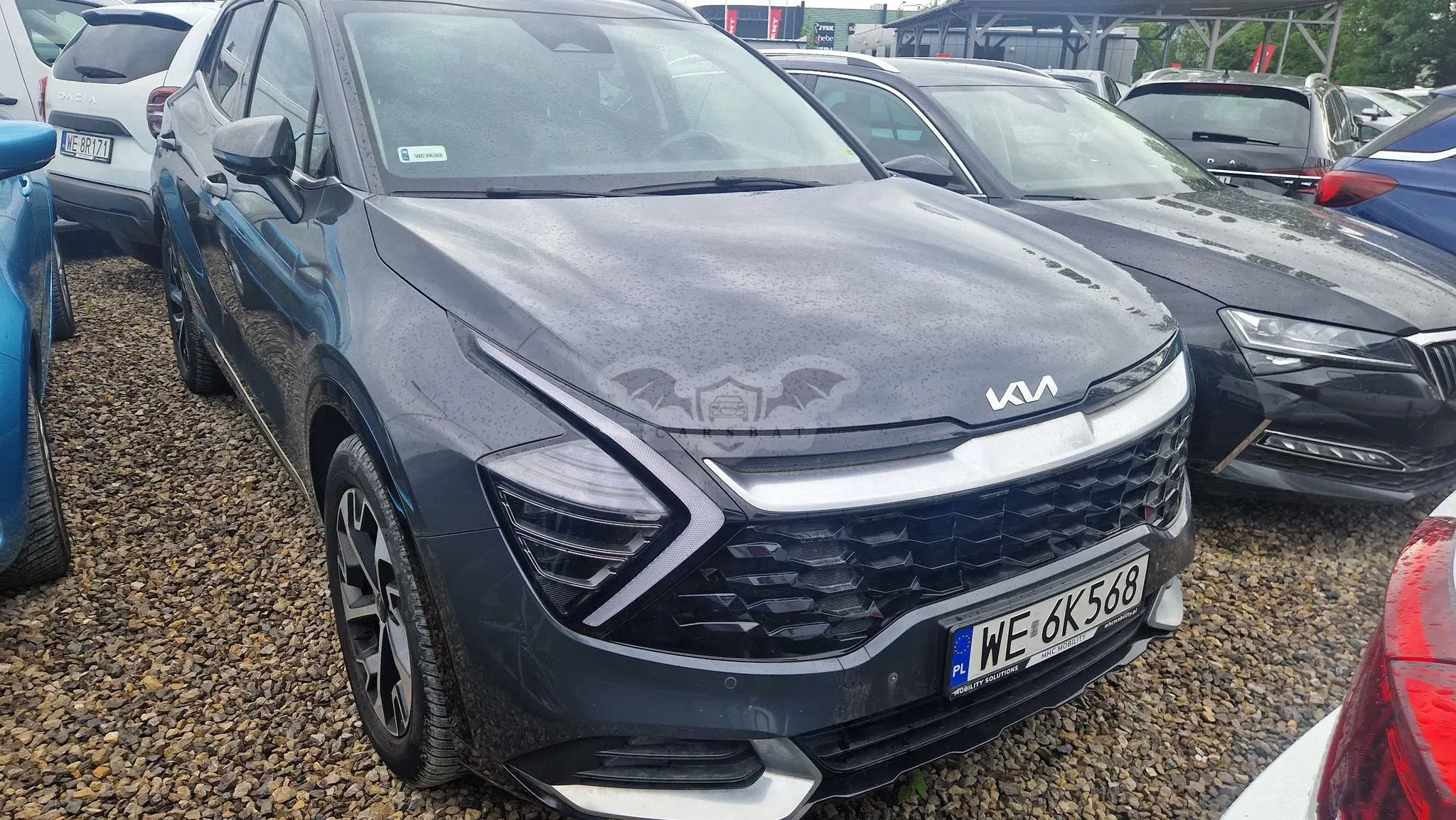 Kia Sportage V (2021-) 1.6 T-GDI MHEV Business Line 2WD DCT 2022