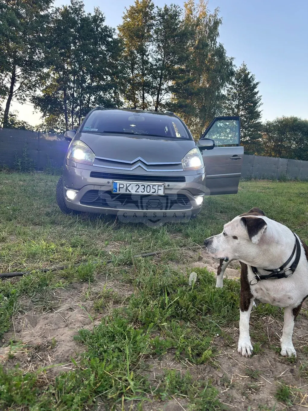 Citroën C4 Picasso I (2006-2013) 2.0 HDi Impress Exclusive 2006