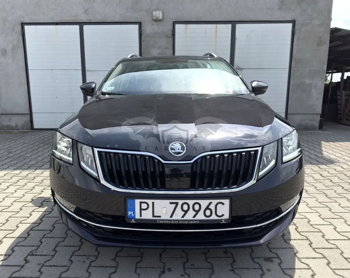 Skoda Octavia III (2013-) 2019