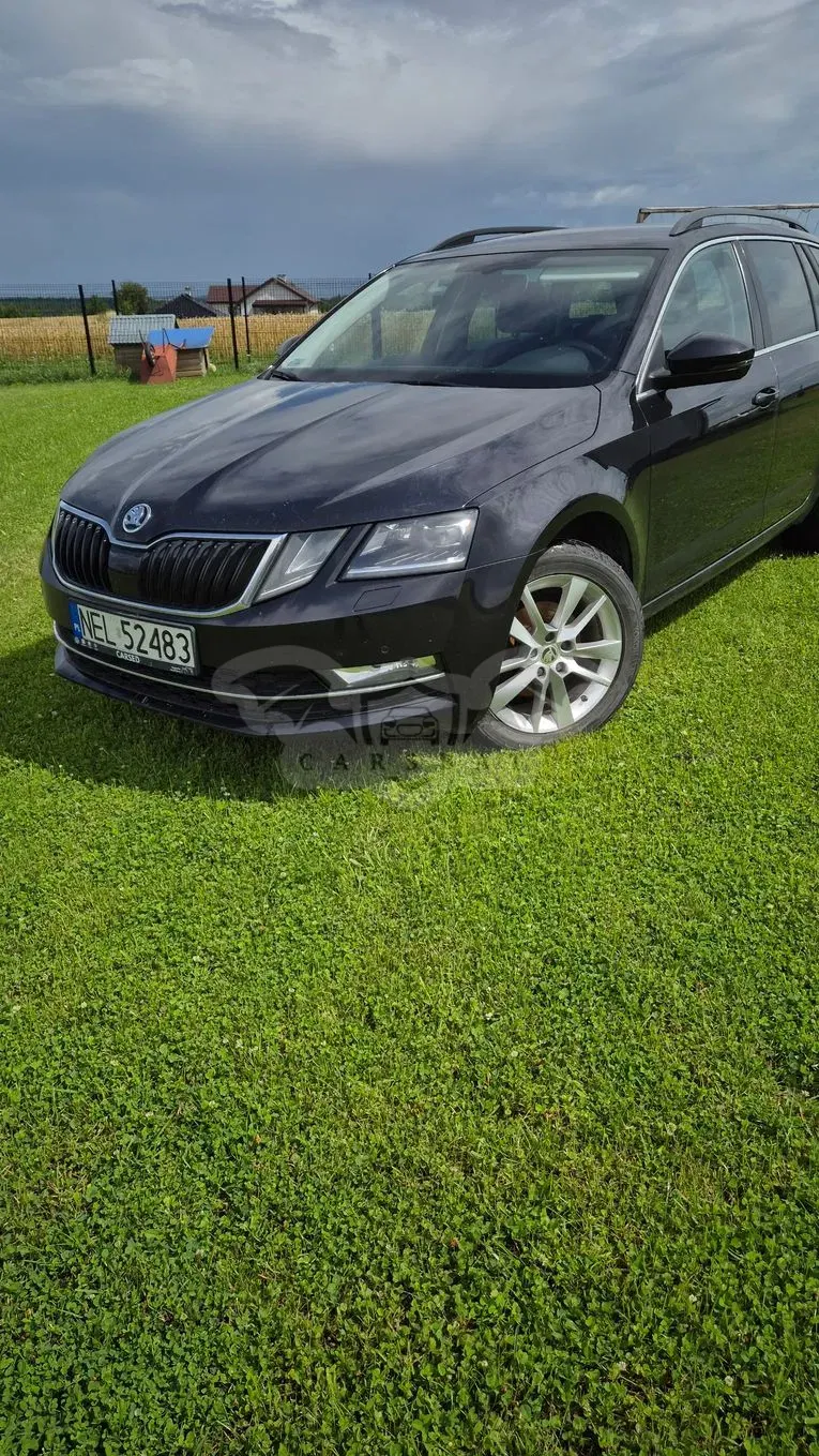 Skoda Octavia III (2013-) 2.0 TDI 4x4 Ambition EU6 2018