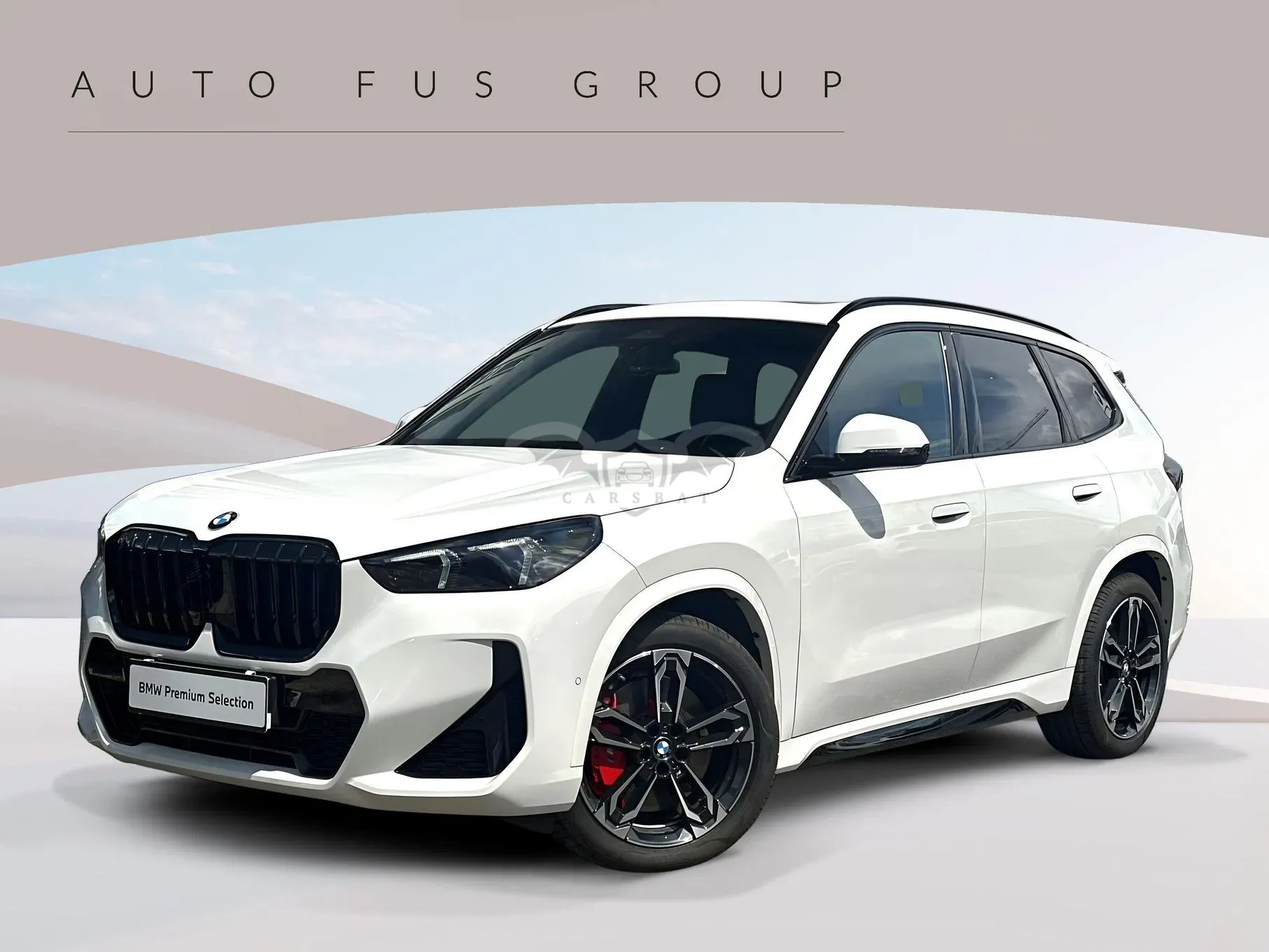 BMW X1 U11 (2022-) xDrive20d mHEV M Sport sport 2025