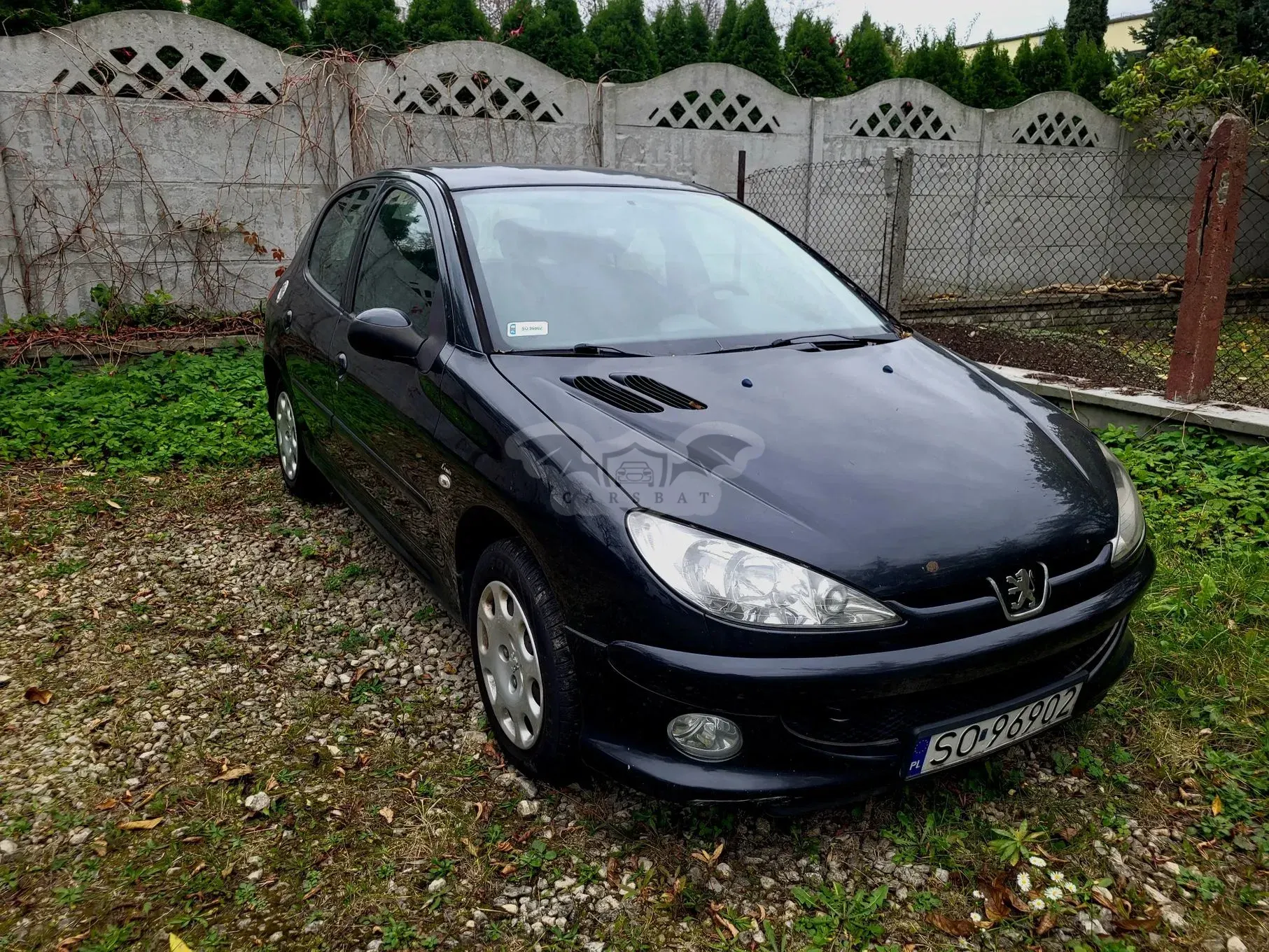 Peugeot 206 2007