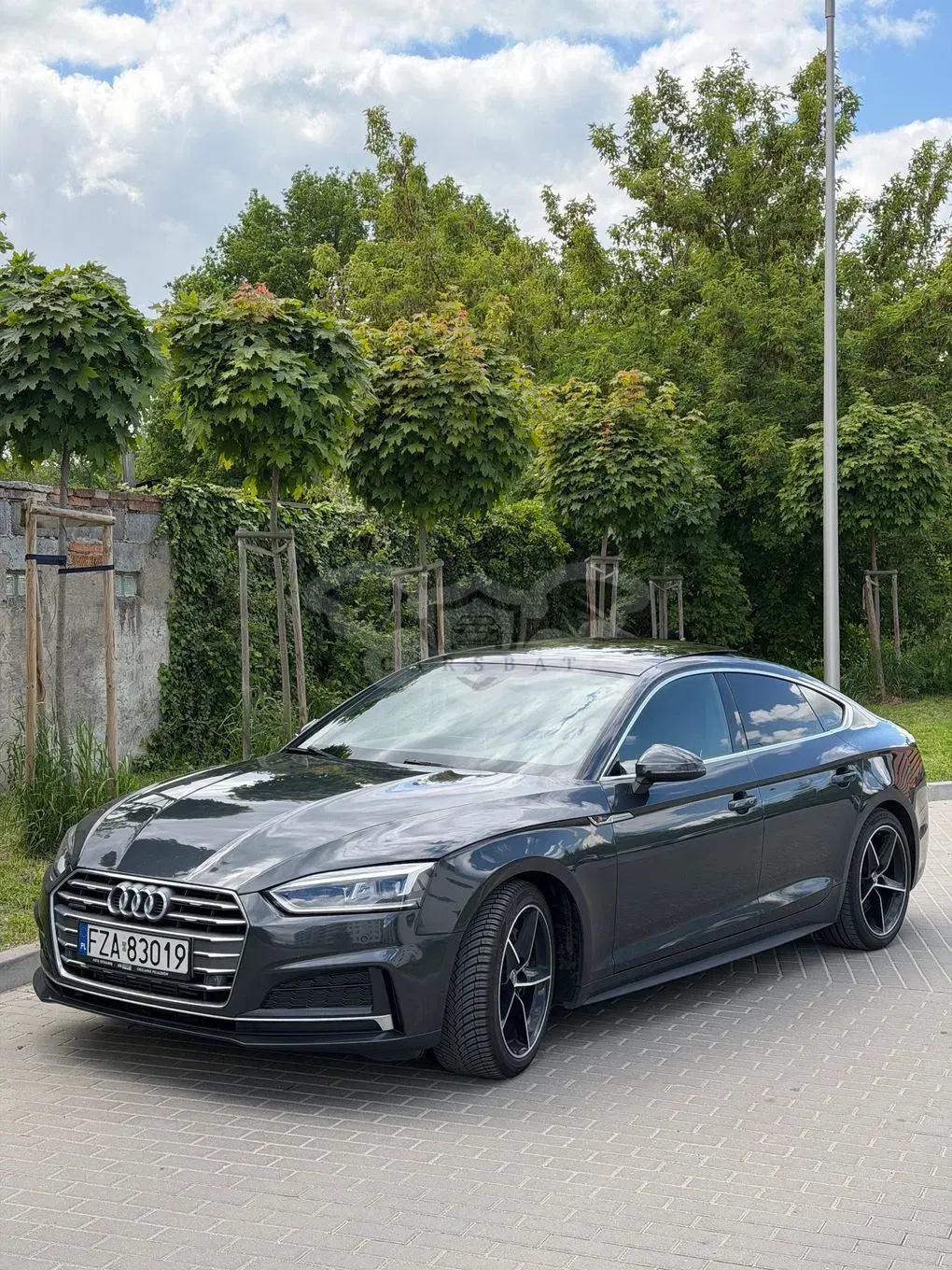 Audi A5 F5 (2016-2024) 2.0 TFSI S tronic 2017
