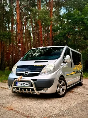Opel Vivaro I (2001-2014) 2009