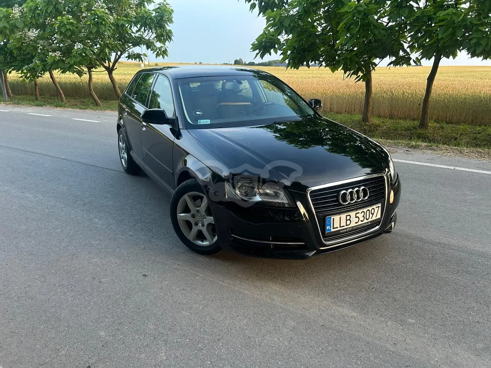 Audi A3 8P (2003-2012) 2.0 TDI DPF Ambition 2012