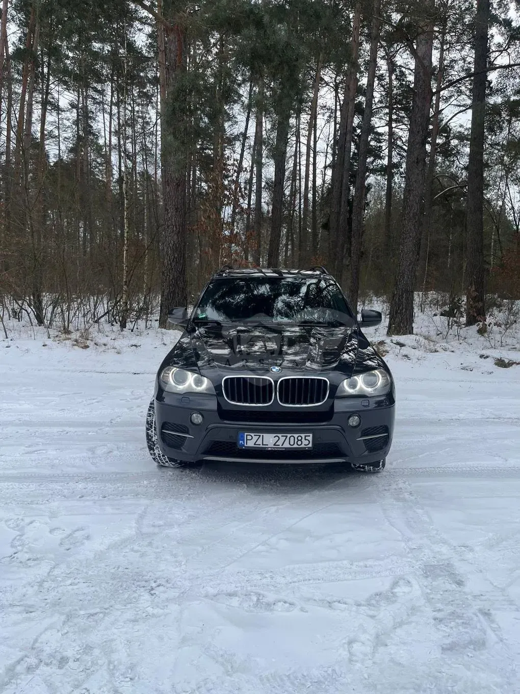 BMW X5 E70 (2006-2013) 2010