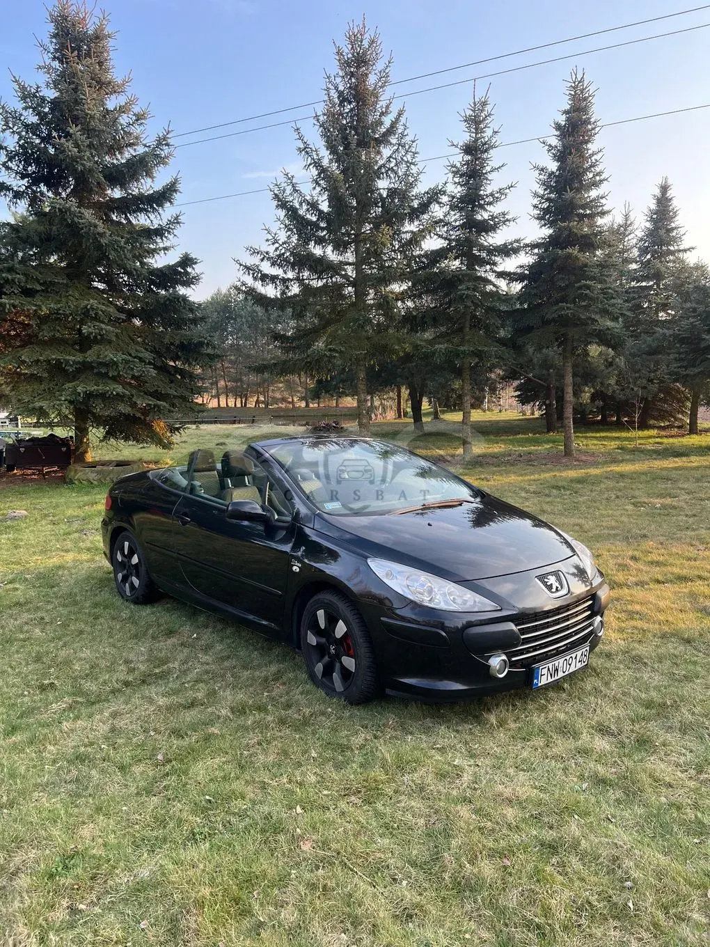 Peugeot 307 II (2005-) 1.6 Sporty 2006