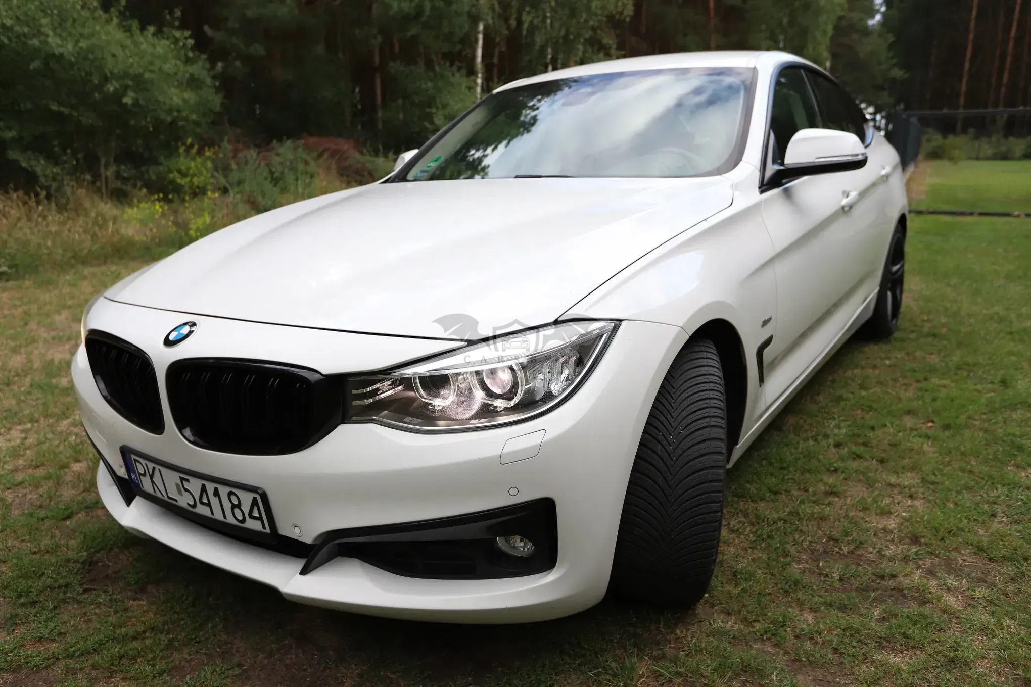 BMW 3 Series F34 (2013-2021) 2016