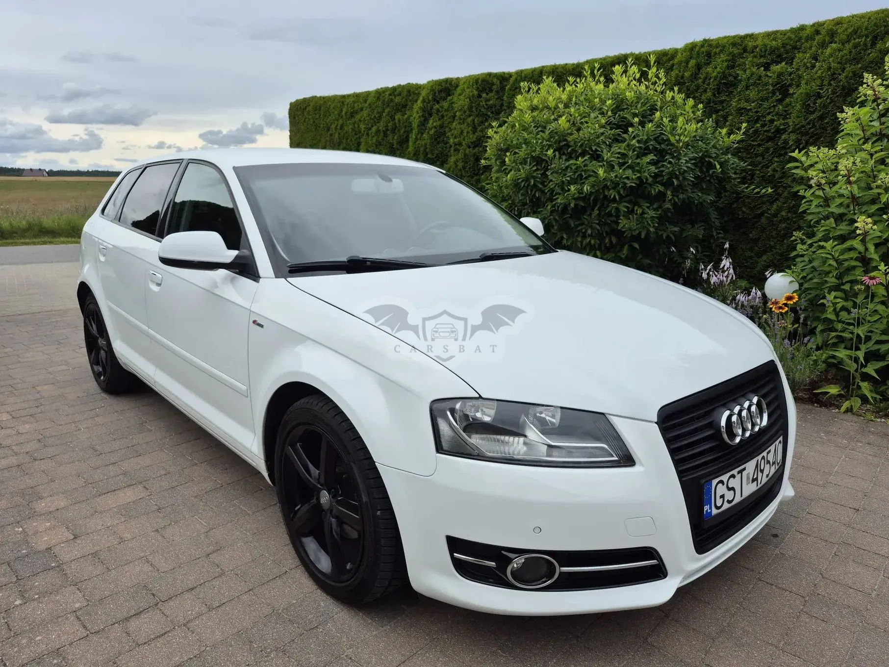 Audi A3 8P (2003-2012) 1.6 TDI DPF Ambiente 2010