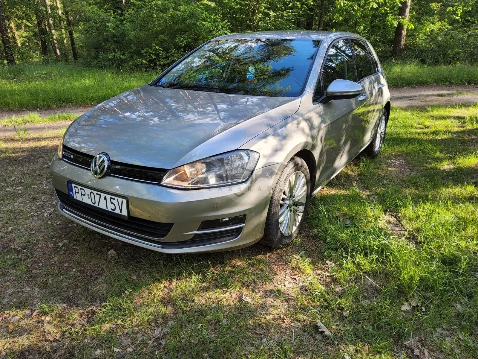 Volkswagen Golf VII (2012-2020) 2.0 TDI BlueMotion Technology Edition 2014