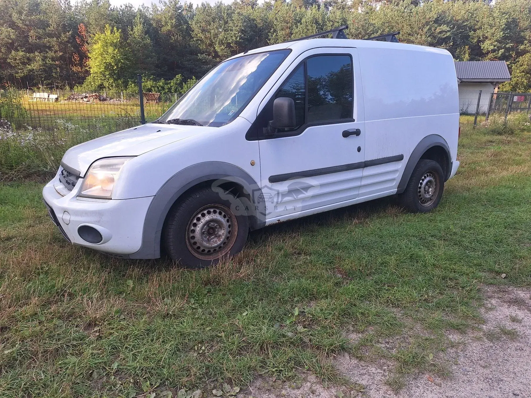 Ford Transit Connect I (2002-2013) 2010