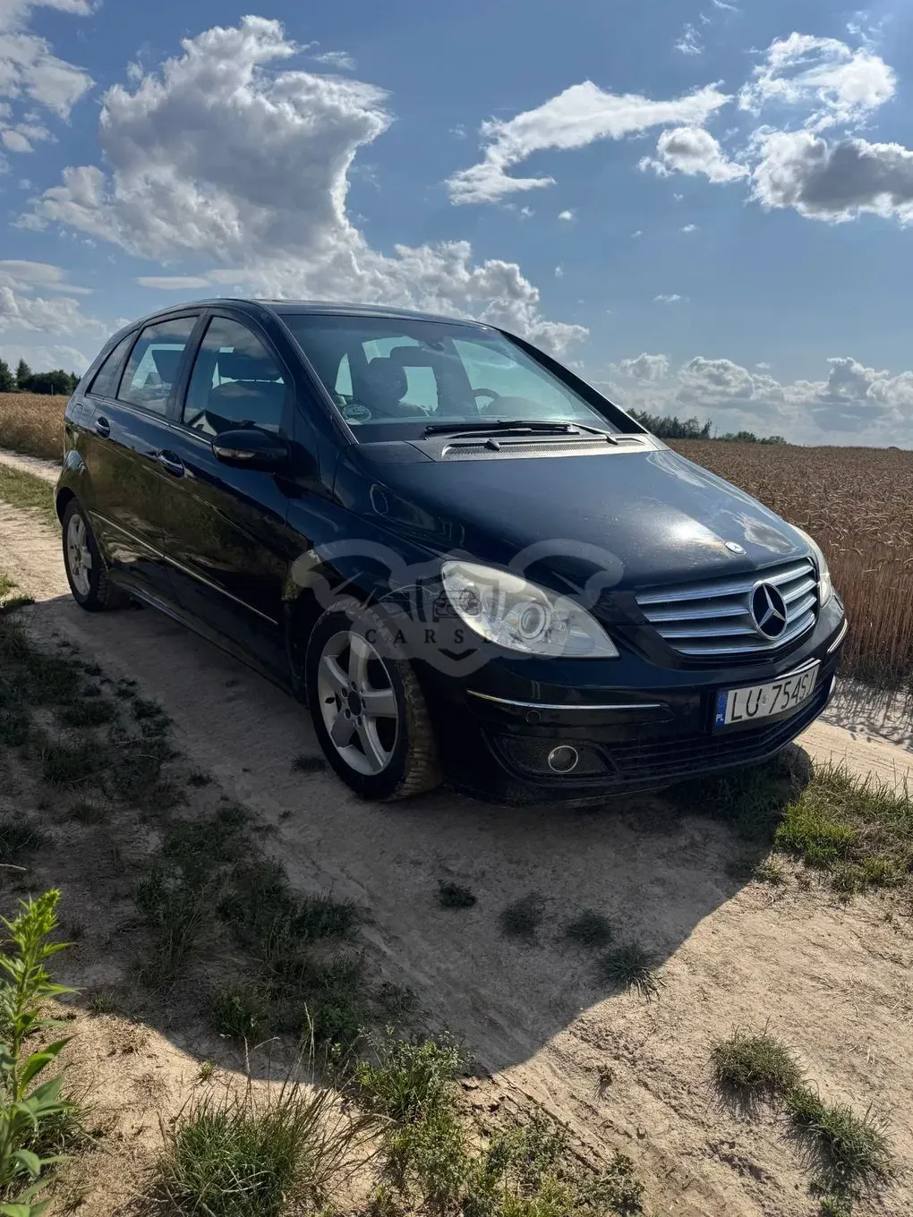 Mercedes-Benz B W245 (2005-2011) 2006