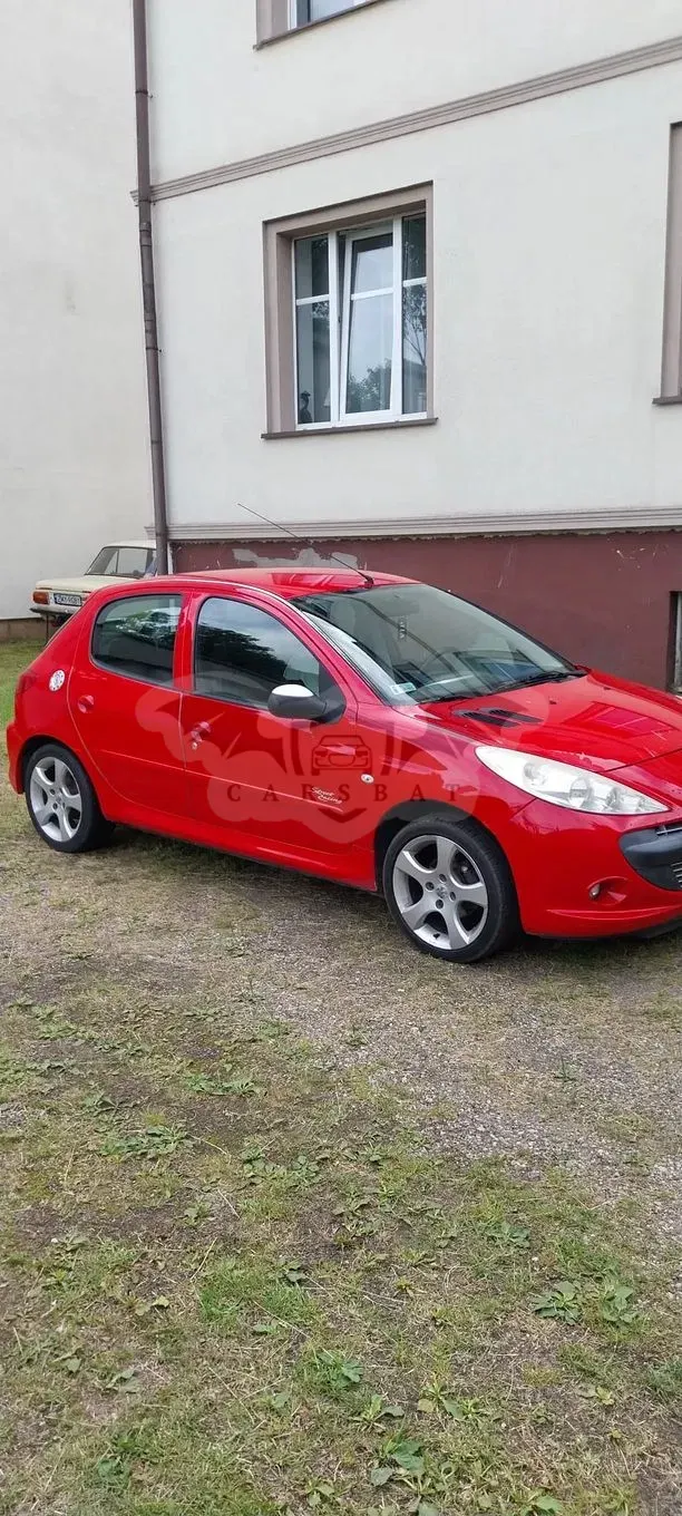 Peugeot 206 2010