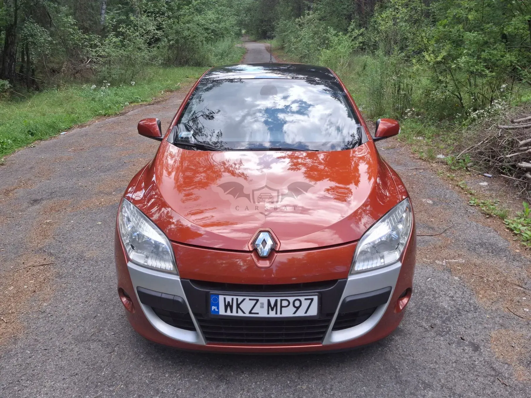 Renault Megane III (2008-2016) 2.0 16V TCE Dynamique 2008