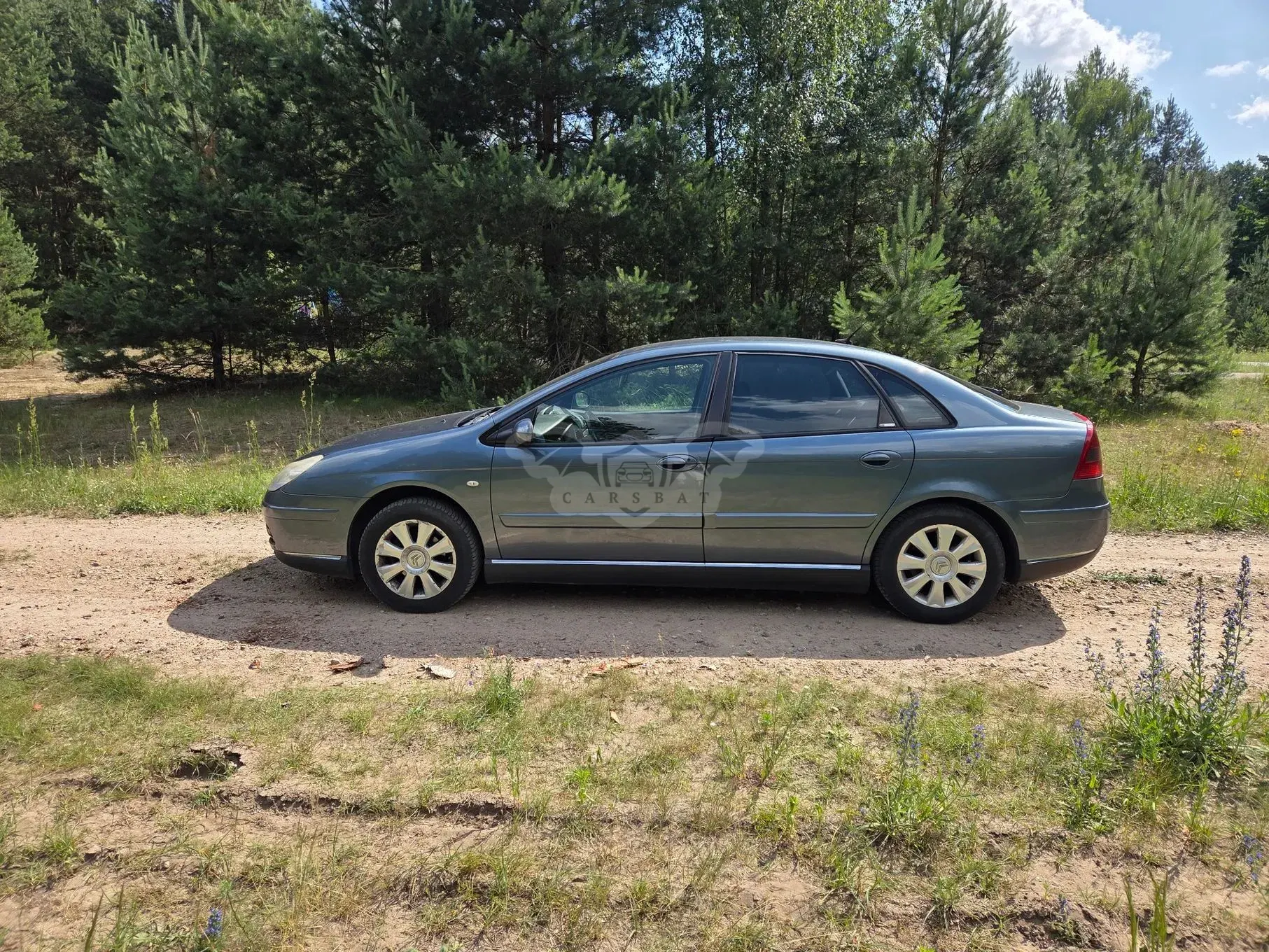 Citroën C5 II (2004-2008) II 2.0 HDi Exclusive 2006
