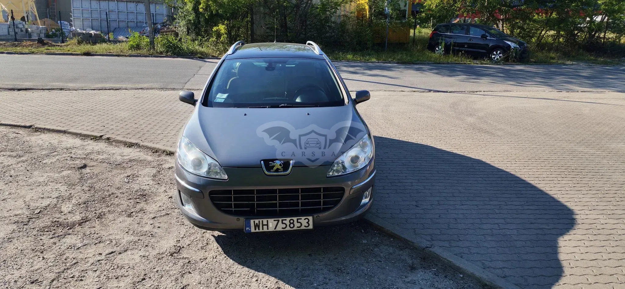 Peugeot 407 2009