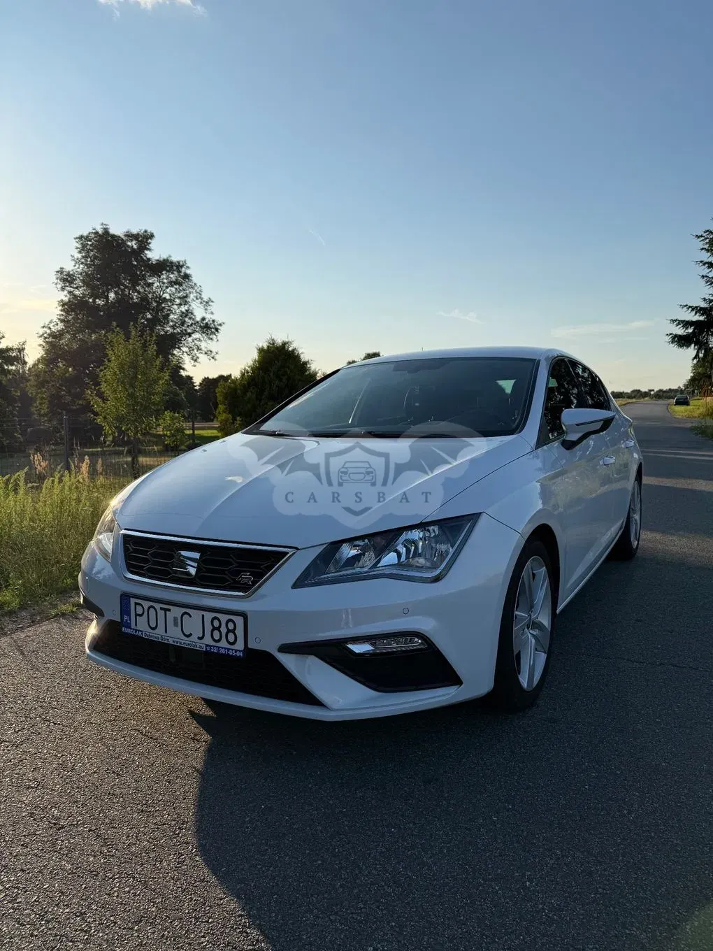 Seat Leon III (2012-) 2.0 TDI FR S&S DSG EU6 2017