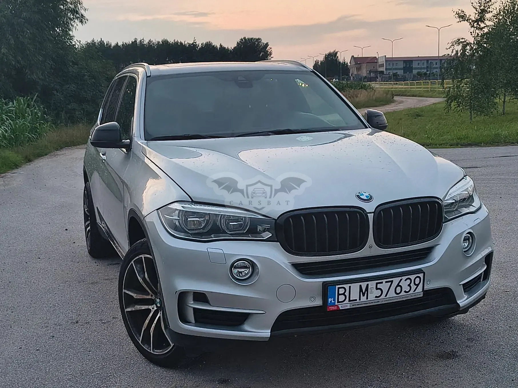 BMW X5 F15 (2013-2018) xDrive25d 2015