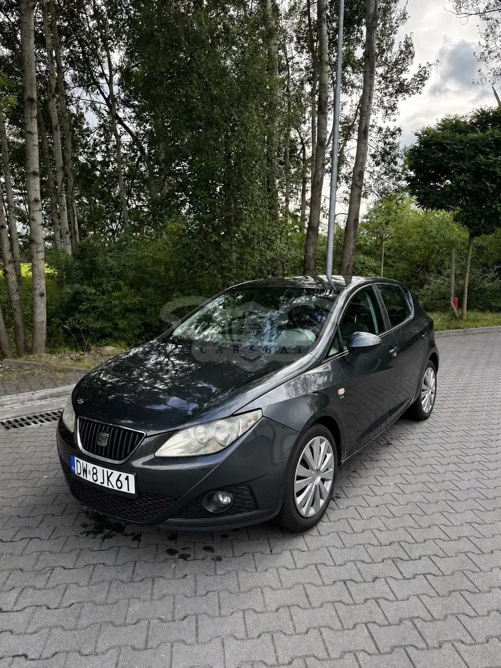 Seat Ibiza IV (2008-2017) 1.9 TDI DPF Reference 2009