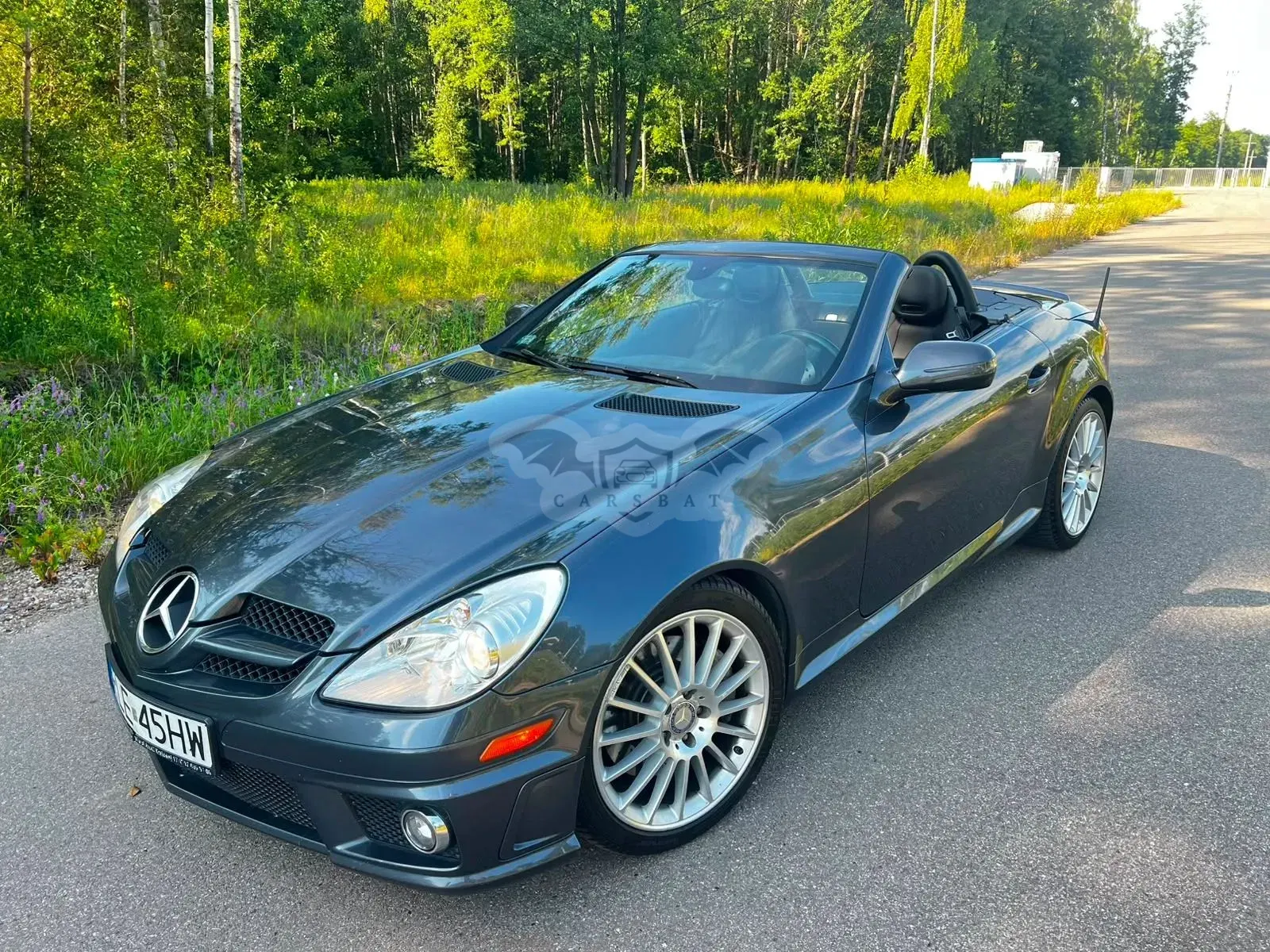 Mercedes-Benz SLK R172 (2011-) 300 7G-TRONIC 2010