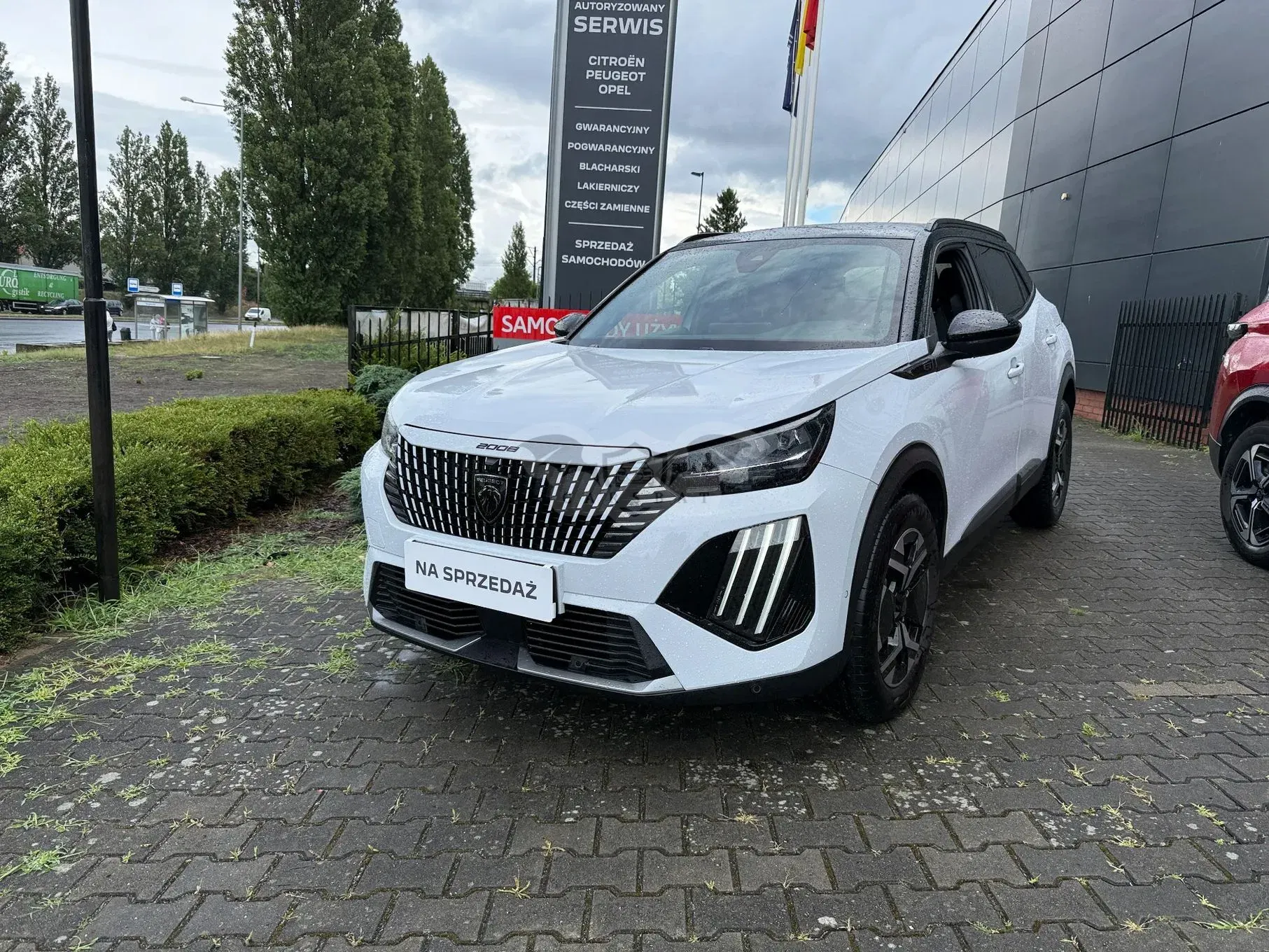 Peugeot 2008 II (2019-) 1.2 PureTech GT S&S EAT8 2023