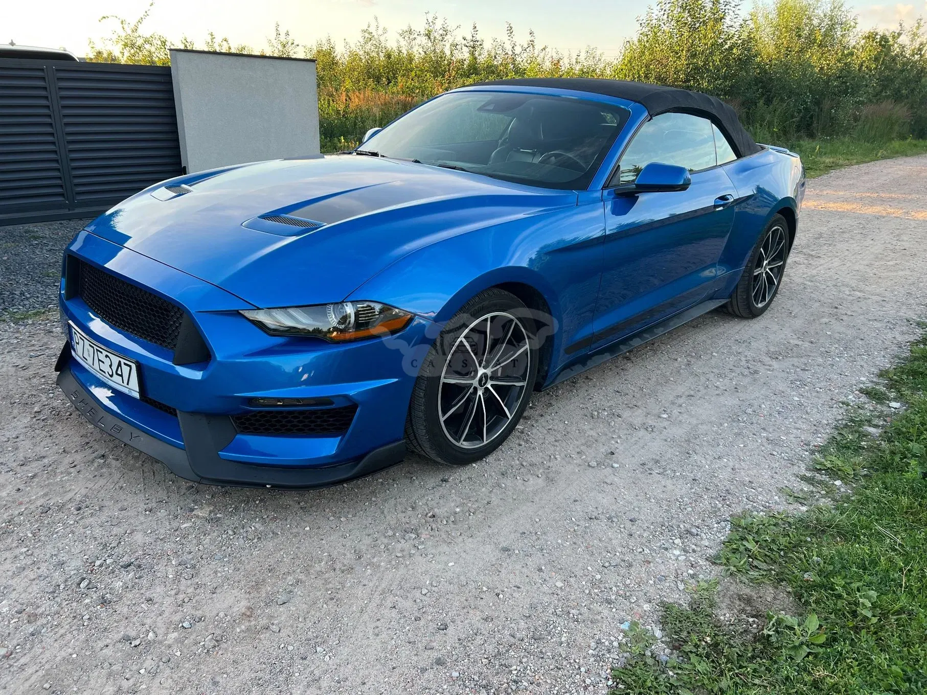 Ford Mustang 2020