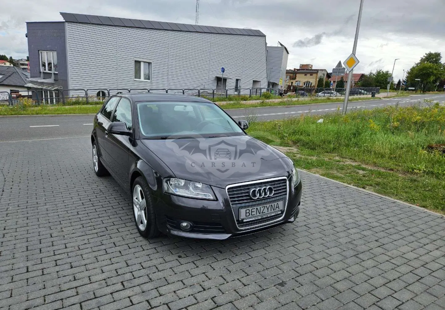 Audi A3 8P (2003-2012) 2009