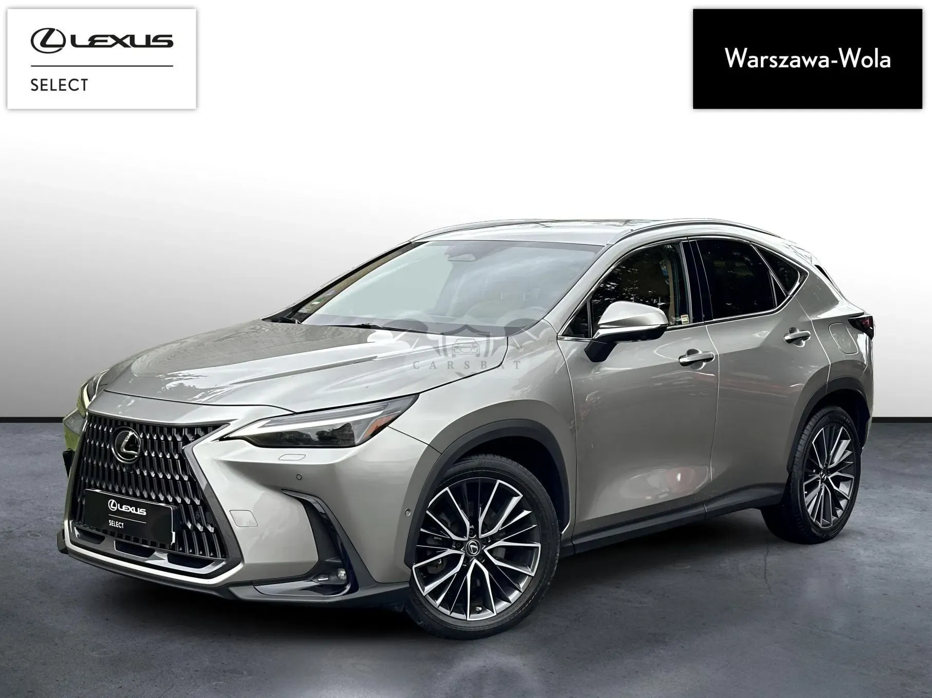 Lexus NX II (2021-) 2022