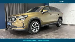 Skoda Kodiaq II (2024-) 2.0 TDI 4x4 Selection DSG 2024