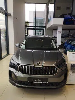 Skoda Kodiaq II (2024-) 2.0 TDI 4x4 Drive DSG 2026