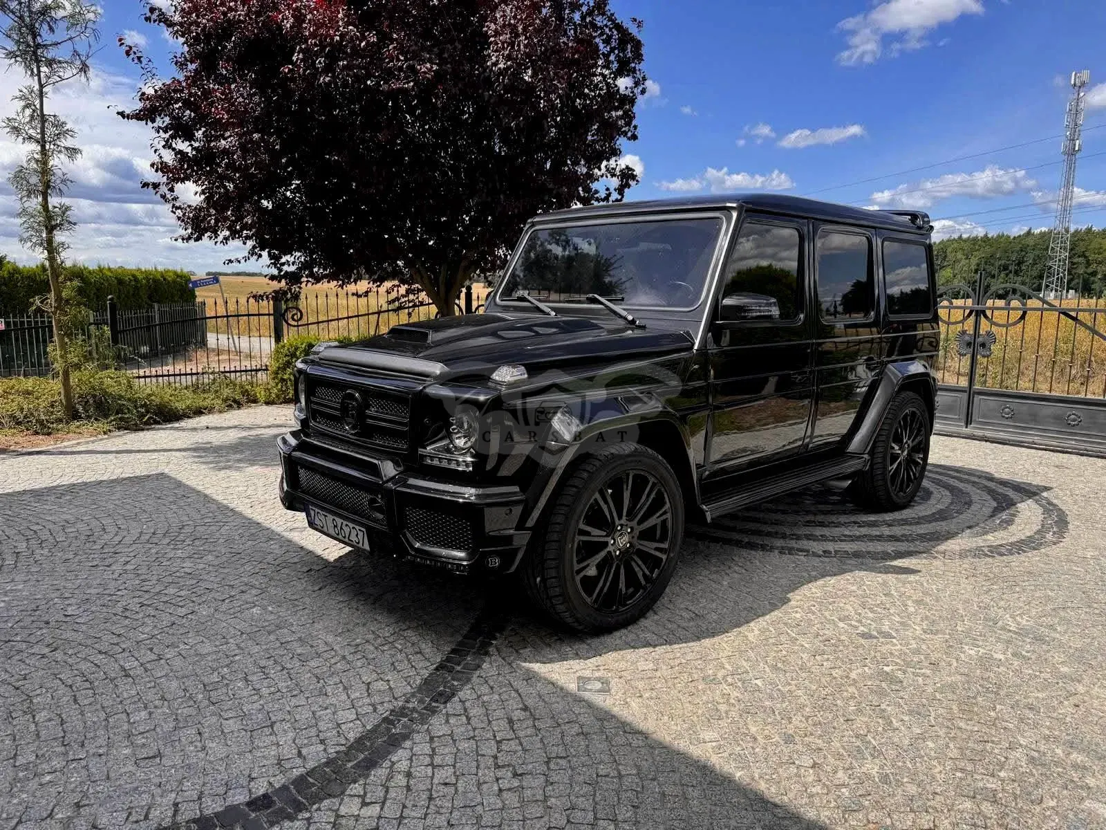 Mercedes-Benz G W461 (1992-2022) 400 CDI 2001