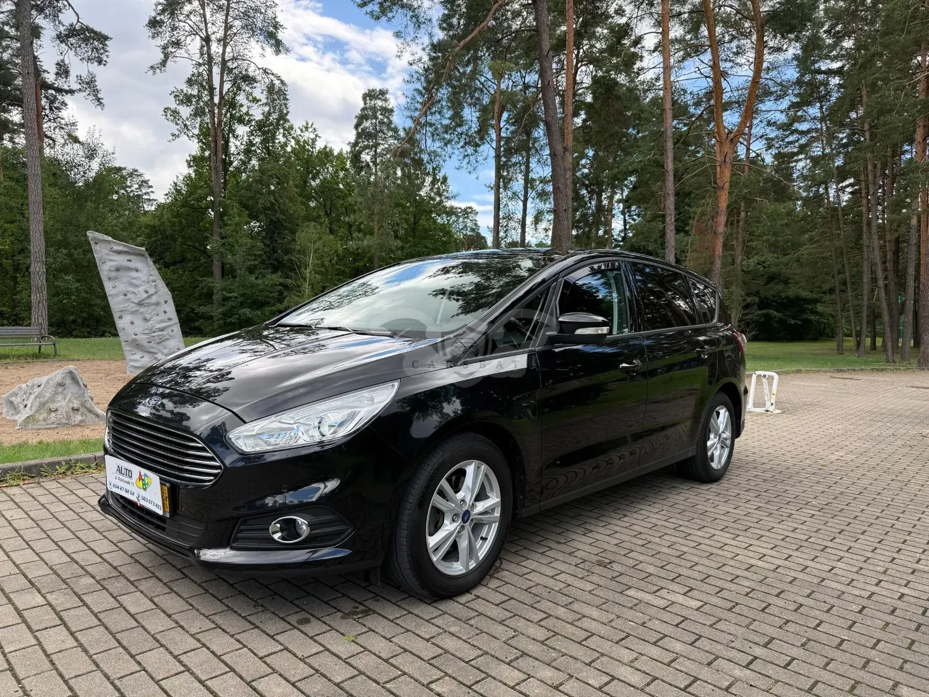 Ford S-Max II (2015-) 2019