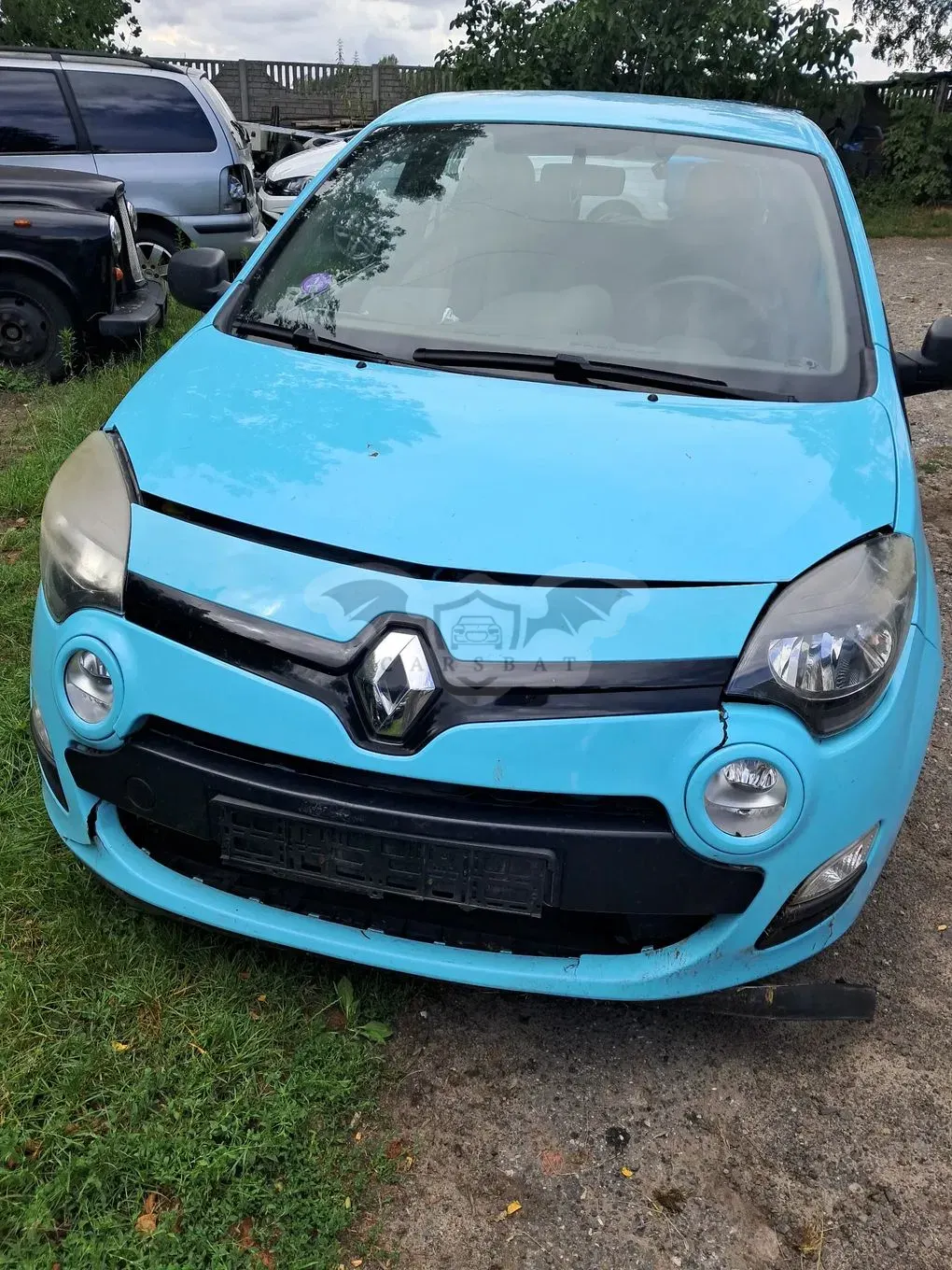 Renault Twingo II (2007-2014) 2013