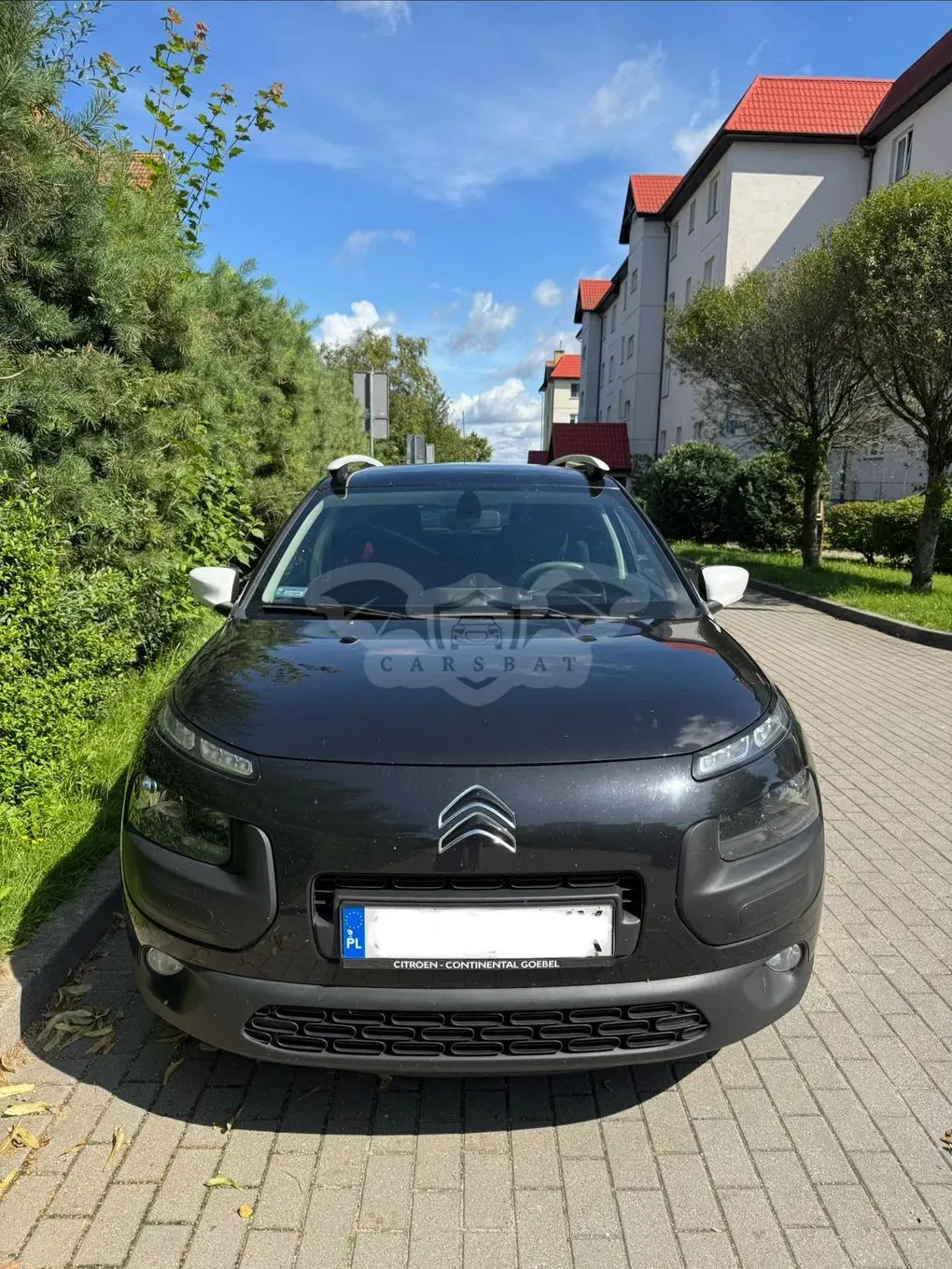 Citroën C4 Cactus 1.2 PureTech Rip Curl S&S 2016