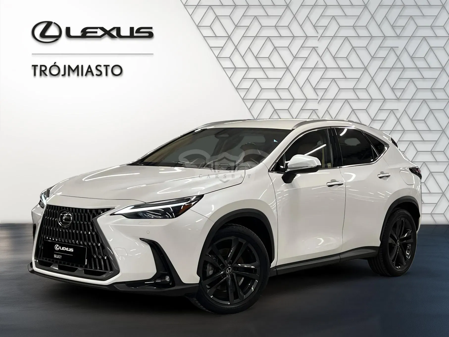 Lexus NX II (2021-) 2024