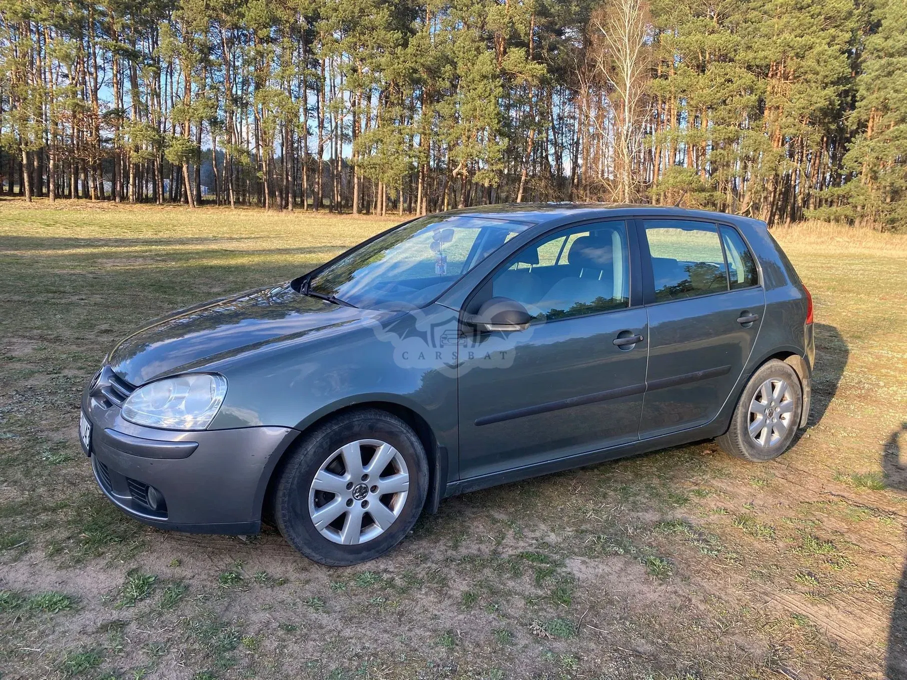 Volkswagen Golf V (2003-2009) 2006