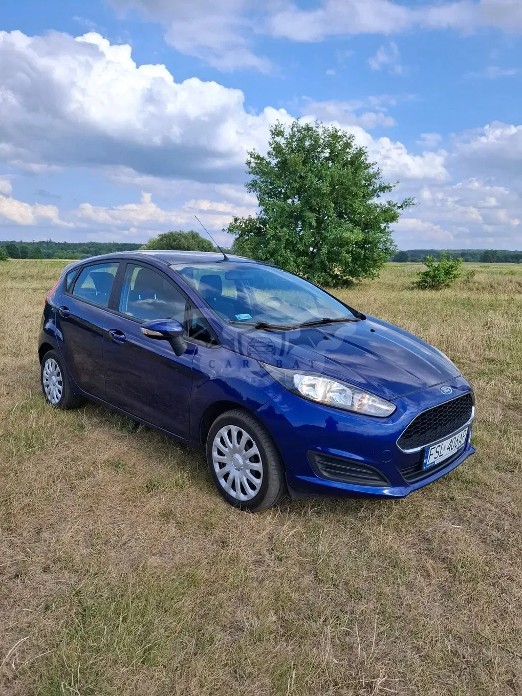 Ford Fiesta Mk7 (2008-) 1.25 Trend EU6 2016