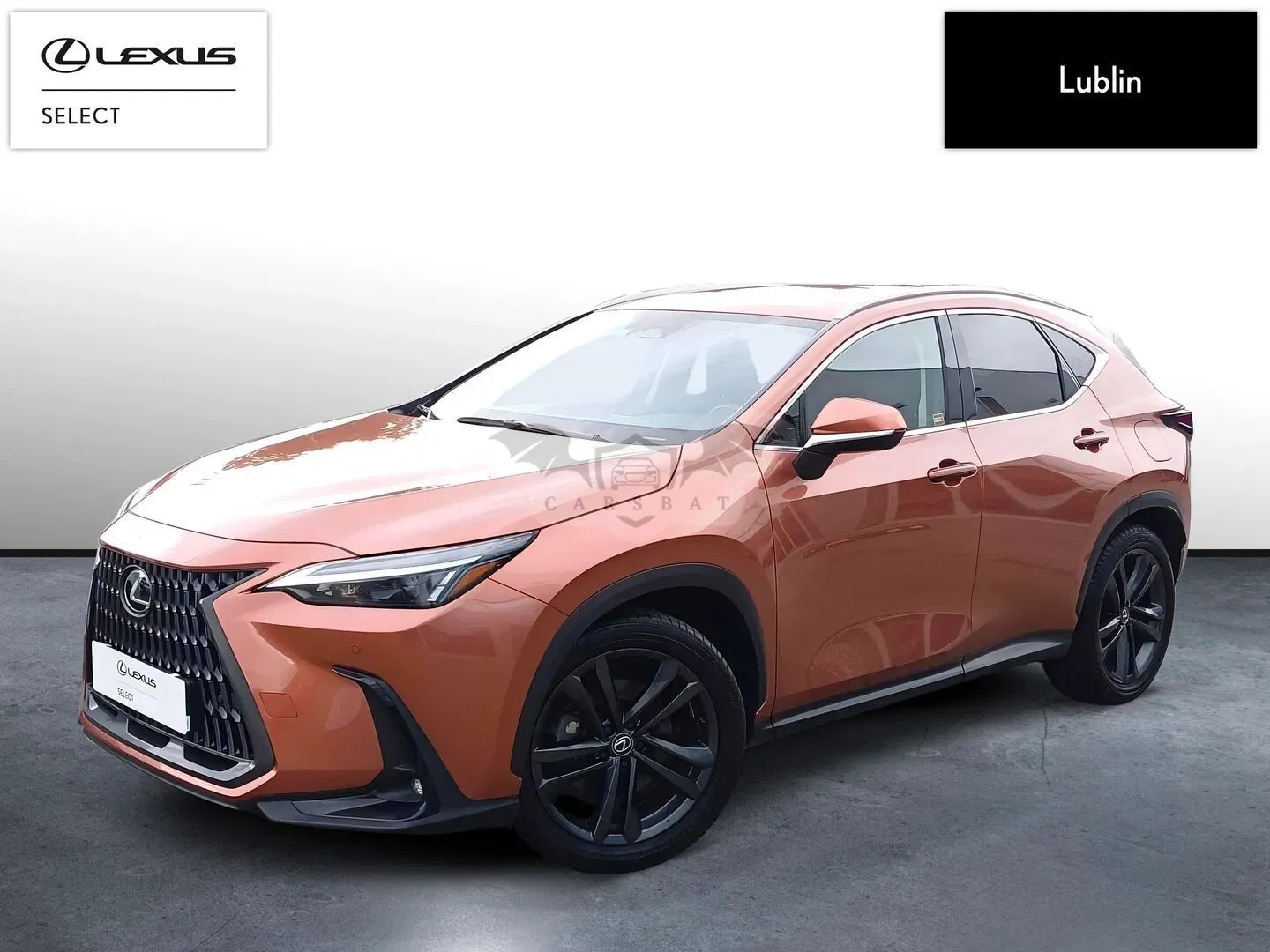 Lexus NX II (2021-) 2025