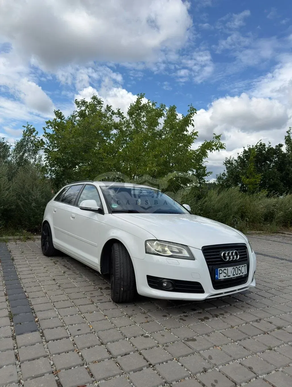 Audi A3 8P (2003-2012) 2009