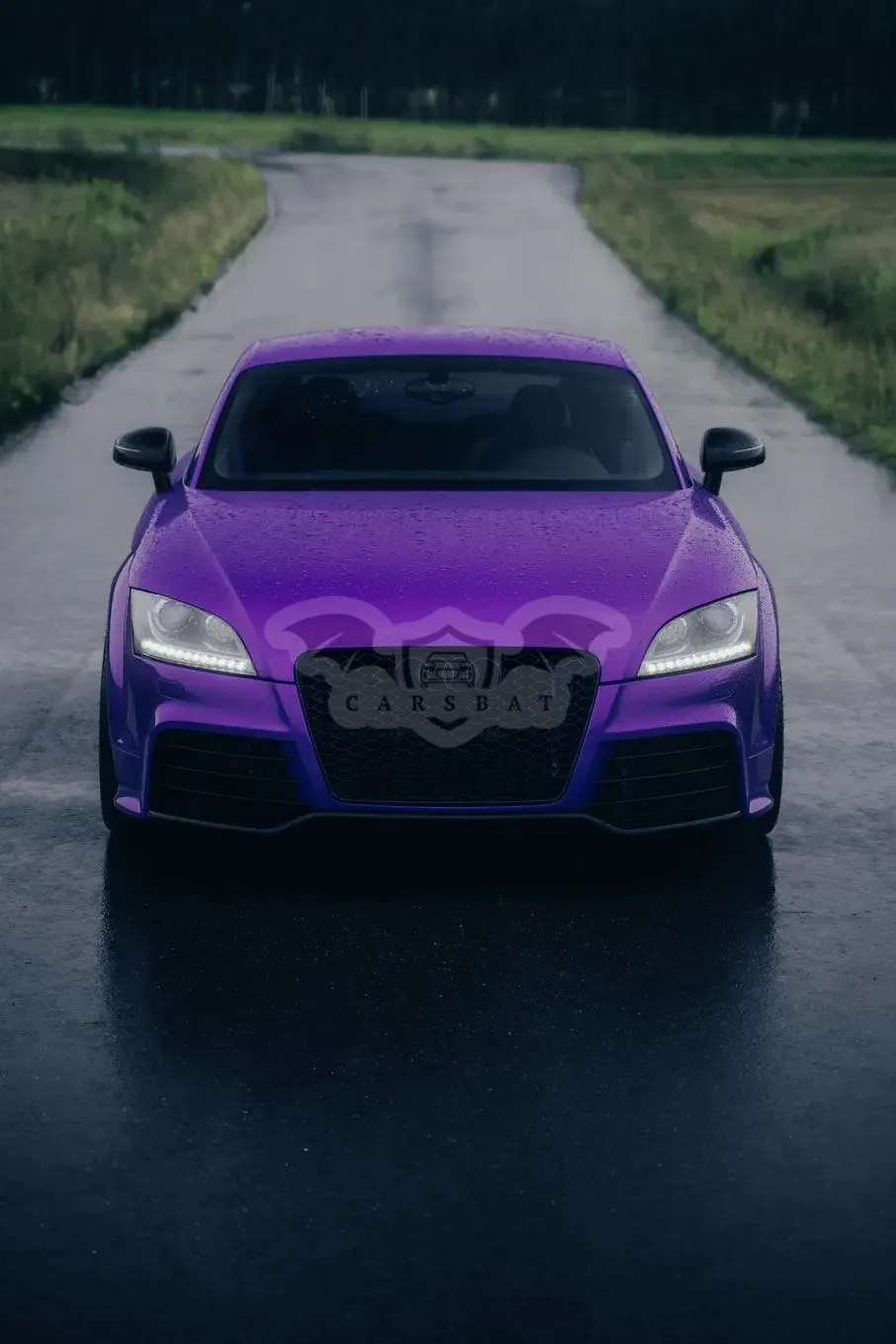Audi TT 8J (2006-2013) 2.0 TFSI Quattro S tronic 2011